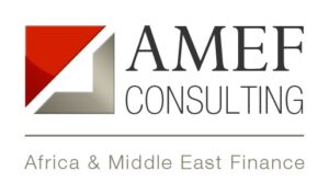 amef consulting